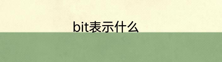 bit表示什么