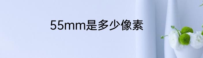 55mm是多少像素