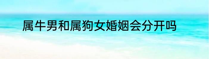 属牛男和属狗女婚姻会分开吗
