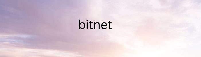 bitnet