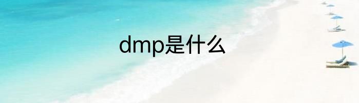dmp是什么