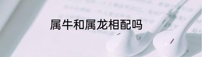 属牛和属龙相配吗