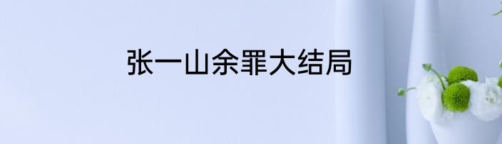 张一山余罪大结局