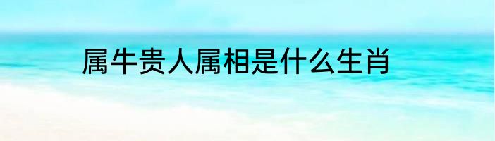 属牛贵人属相是什么生肖