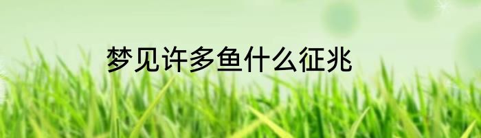 梦见许多鱼什么征兆
