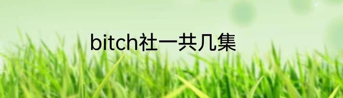 bitch社一共几集
