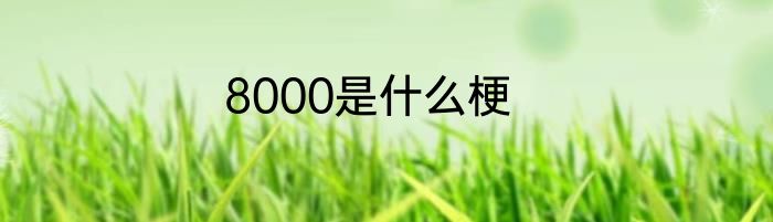 8000是什么梗
