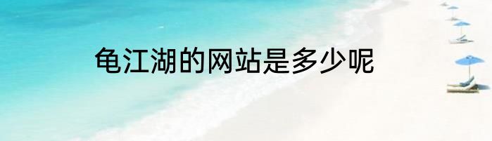 龟江湖的网站是多少呢