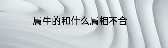 属牛的和什么属相不合