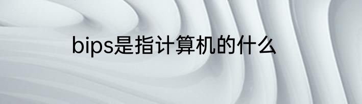 bips是指计算机的什么