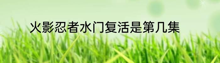 火影忍者水门复活是第几集