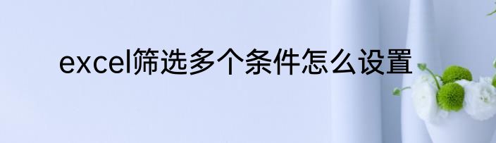 excel筛选多个条件怎么设置