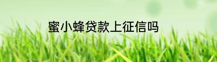 蜜小蜂贷款上征信吗