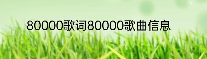 80000歌词80000歌曲信息