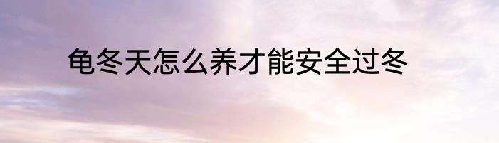 龟冬天怎么养才能安全过冬