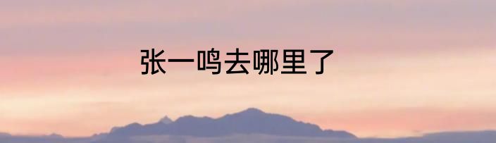 张一鸣去哪里了