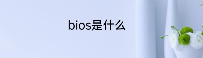 bios是什么