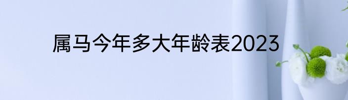 属马今年多大年龄表2023