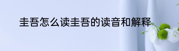 圭吾怎么读圭吾的读音和解释