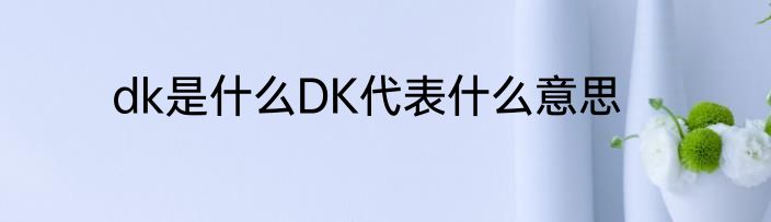dk是什么DK代表什么意思