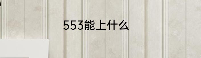 553能上什么
