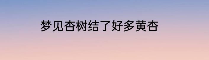 梦见杏树结了好多黄杏