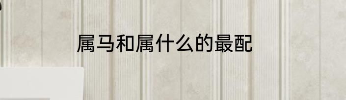 属马和属什么的最配