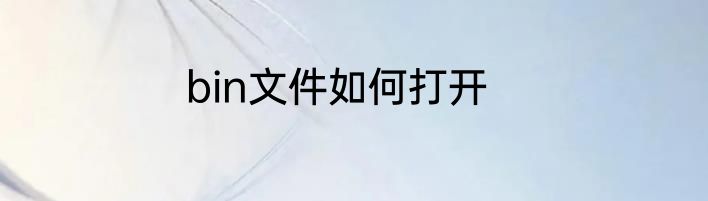 bin文件如何打开