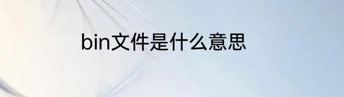bin文件是什么意思