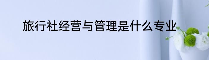 旅行社经营与管理是什么专业