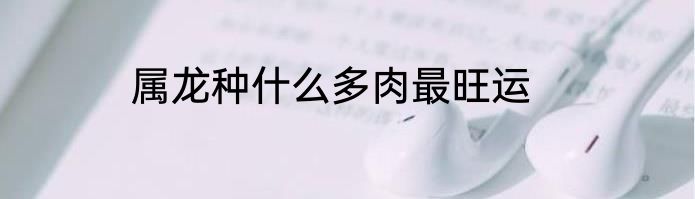 属龙种什么多肉最旺运