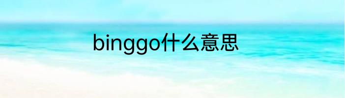 binggo什么意思