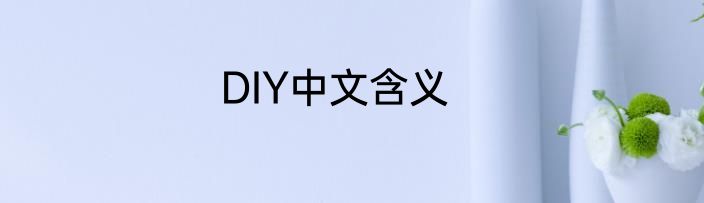 DIY中文含义