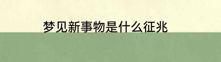 梦见新事物是什么征兆