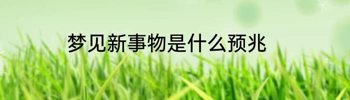 梦见新事物是什么预兆