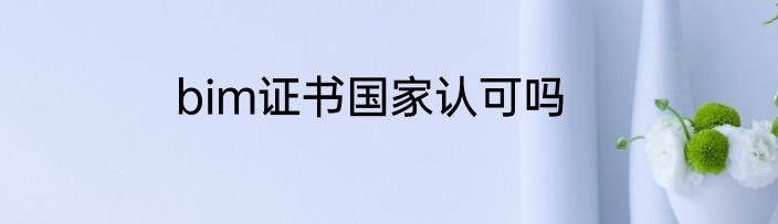 bim证书国家认可吗