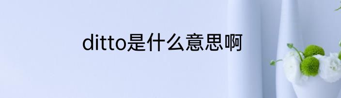 ditto是什么意思啊