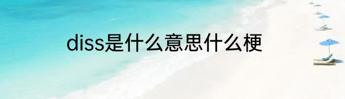 diss是什么意思什么梗