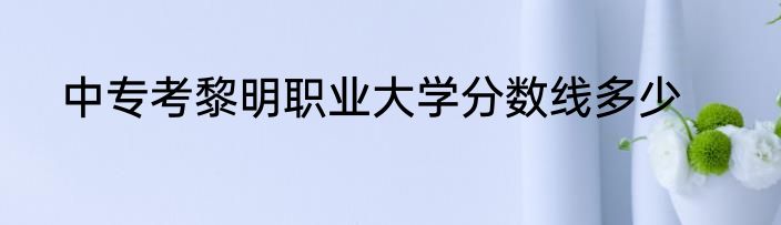 中专考黎明职业大学分数线多少