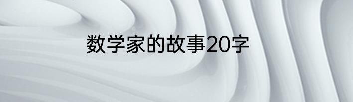 数学家的故事20字