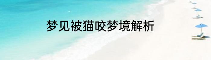 梦见被猫咬梦境解析