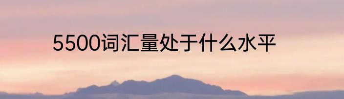 5500词汇量处于什么水平