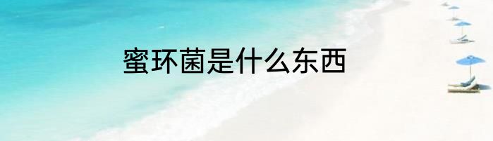 蜜环菌是什么东西