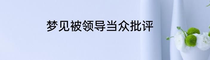 梦见被领导当众批评