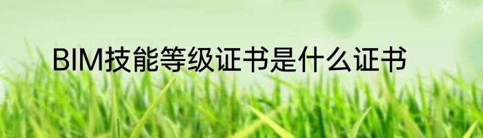 BIM技能等级证书是什么证书