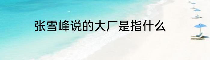 张雪峰说的大厂是指什么