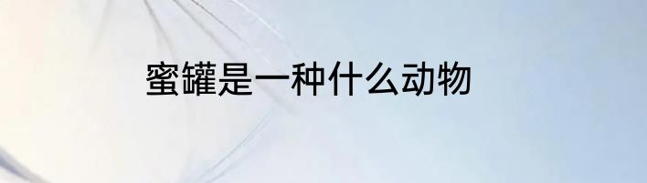 蜜罐是一种什么动物