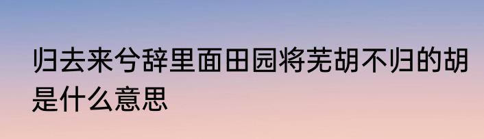 归去来兮辞里面田园将芜胡不归的胡是什么意思