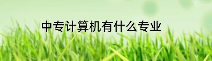 中专计算机有什么专业