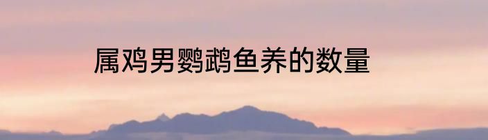 属鸡男鹦鹉鱼养的数量